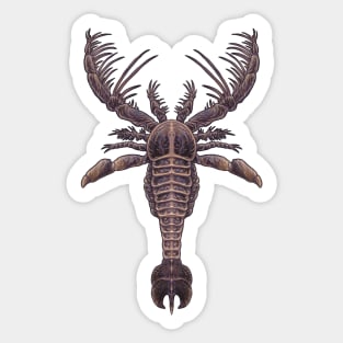 Megalograptus welchi Sticker